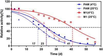 Improving regioselectivity of phenylalanine aminomutase from Taxus chinensis by semi-rational mutagenesis for the biocatalytic amination of cinnamates